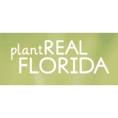 plant real florida logo