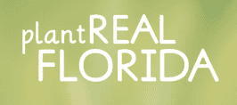plant real florida logo