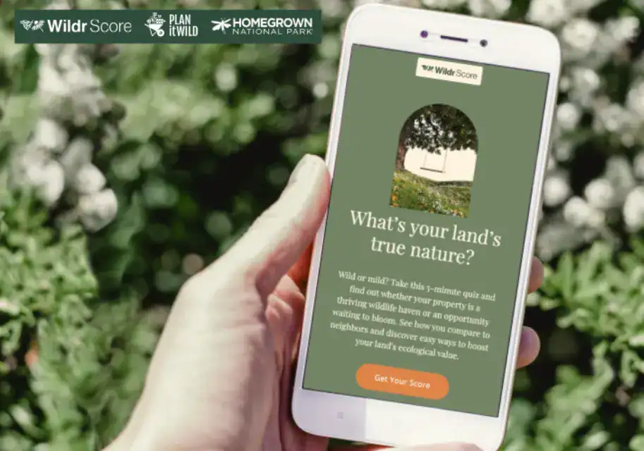 Homepage Wildr Score Plan It Wild Biodiversity Map A person holds a smartphone showing the Wildr Score quiz webpage. The screen reads, “What’s your land’s true nature?” and invites users to take a short quiz to assess their property’s ecological value. Logos for Wildr Score, Plan it Wild, and Homegrown National Park appear at the top of the image.