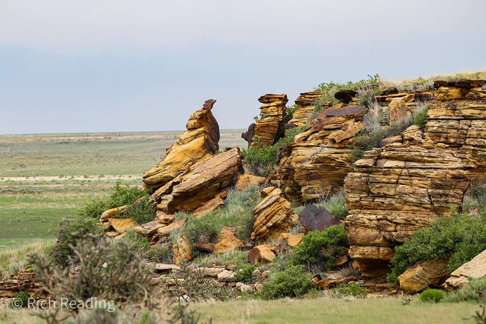 Southern Plains Land Trust Jagers Phase 3 Outcrop