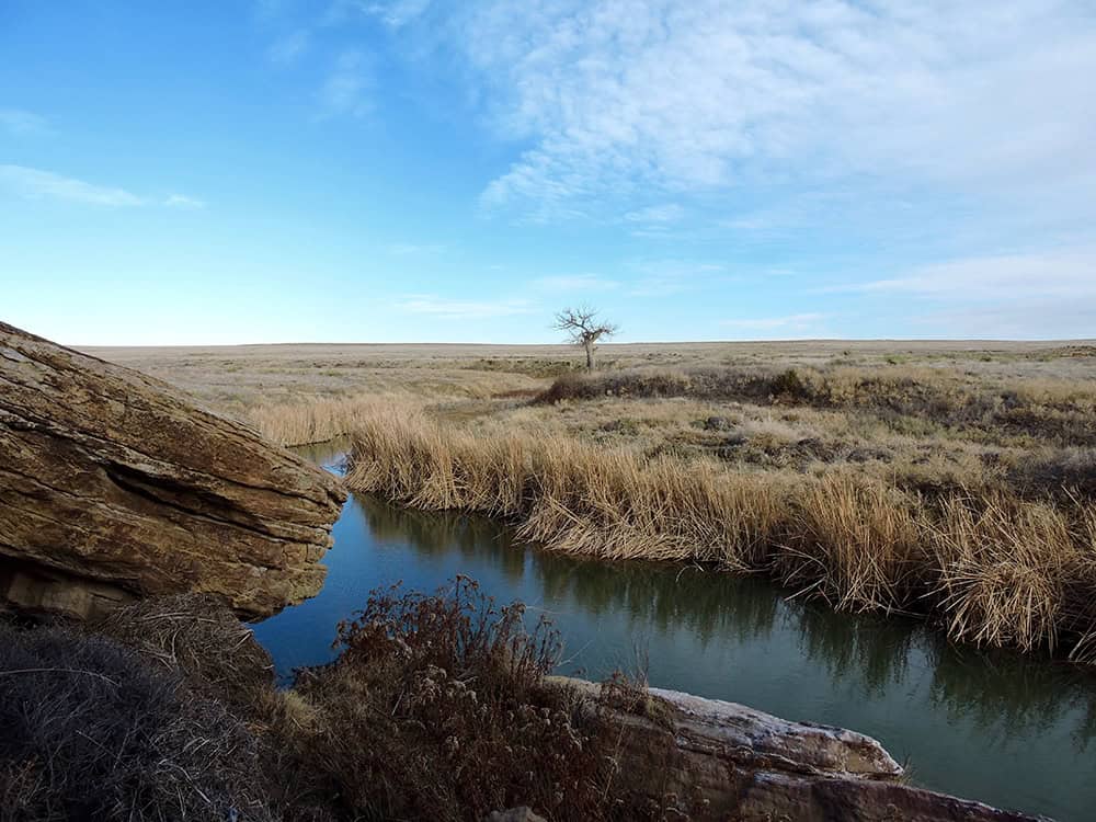 Southern Plains Land Trust Jagers Phase 3 Spring