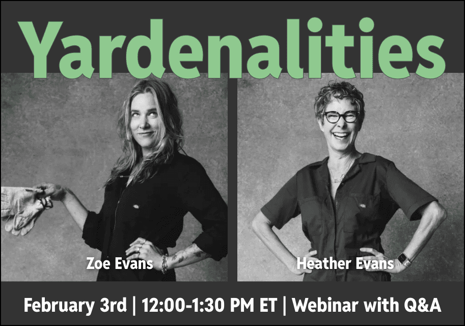 Yardenalities Homepage 3