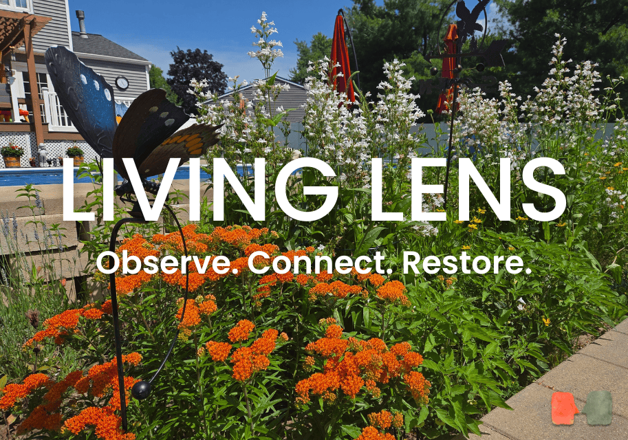 Living Lens Homepage 3