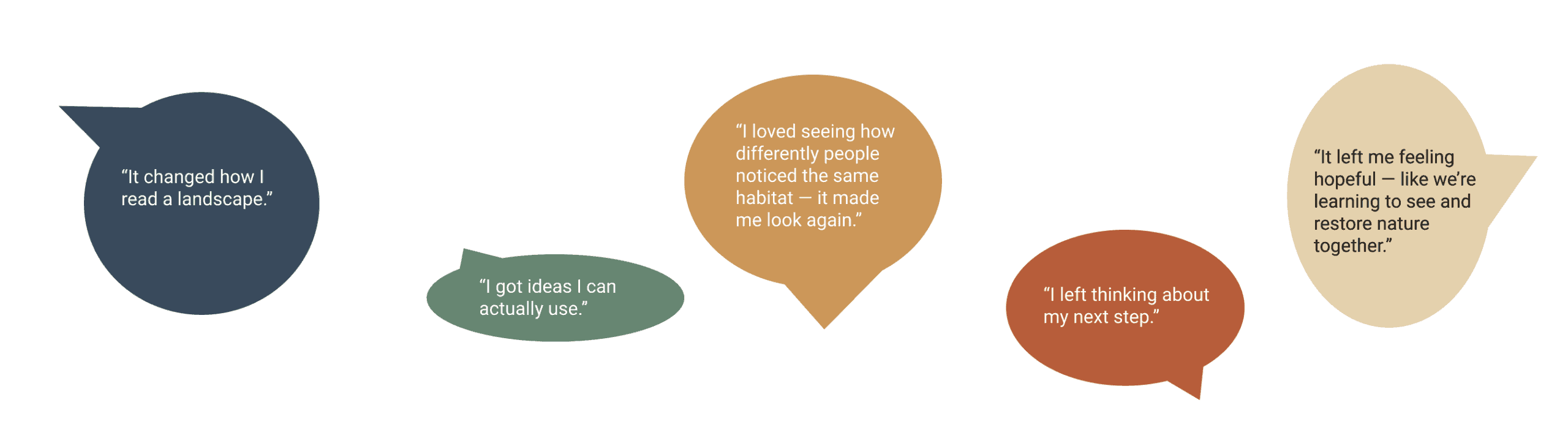 Living Lens Testimonial Quotes