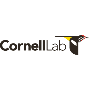 Cornell Lab Square