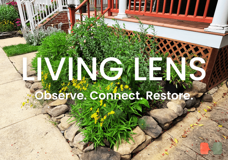 Homepage Feature Image (1)