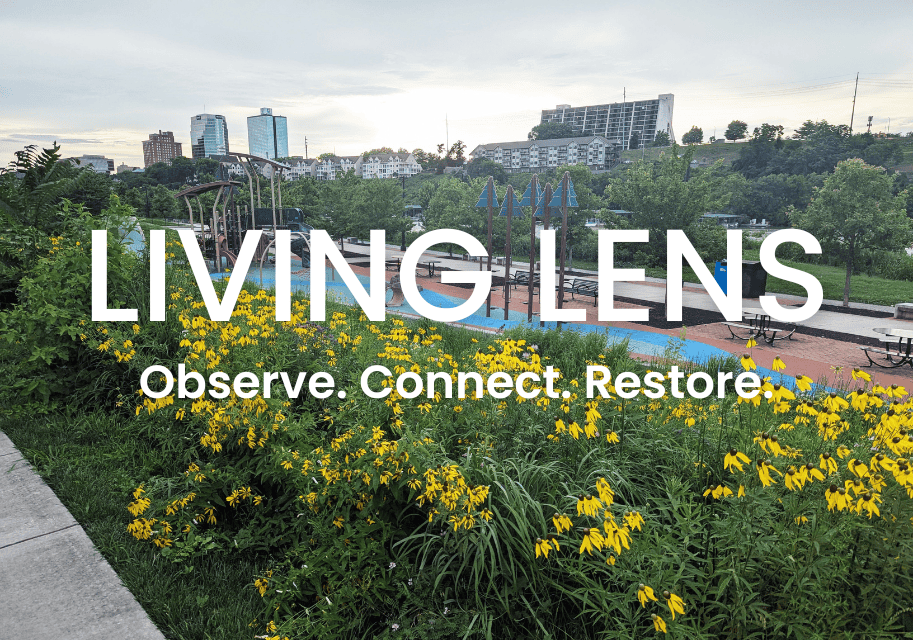 Homepage Feature Image