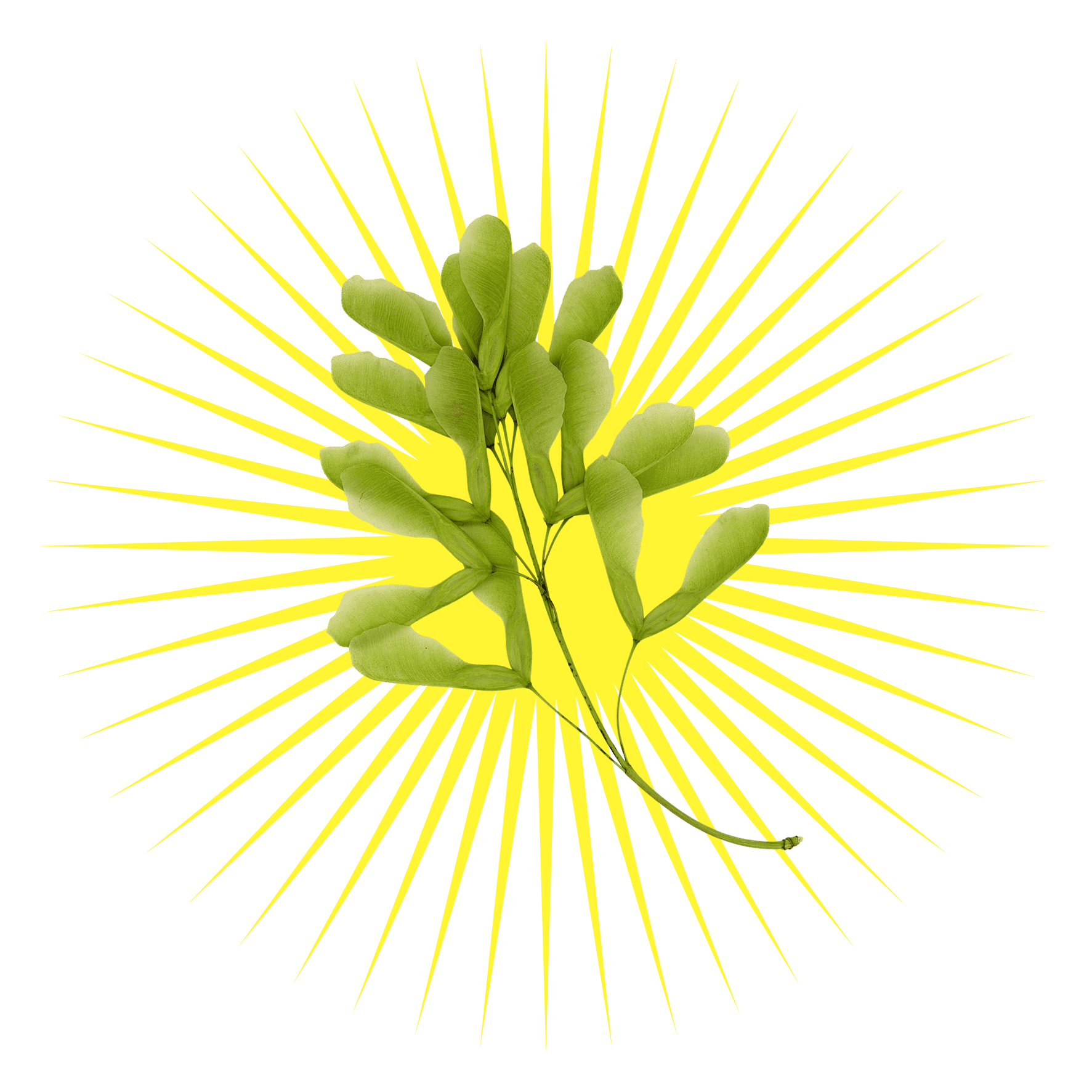 5d3b49ffa6bbb9caacb40535be1cf1516bf25c68