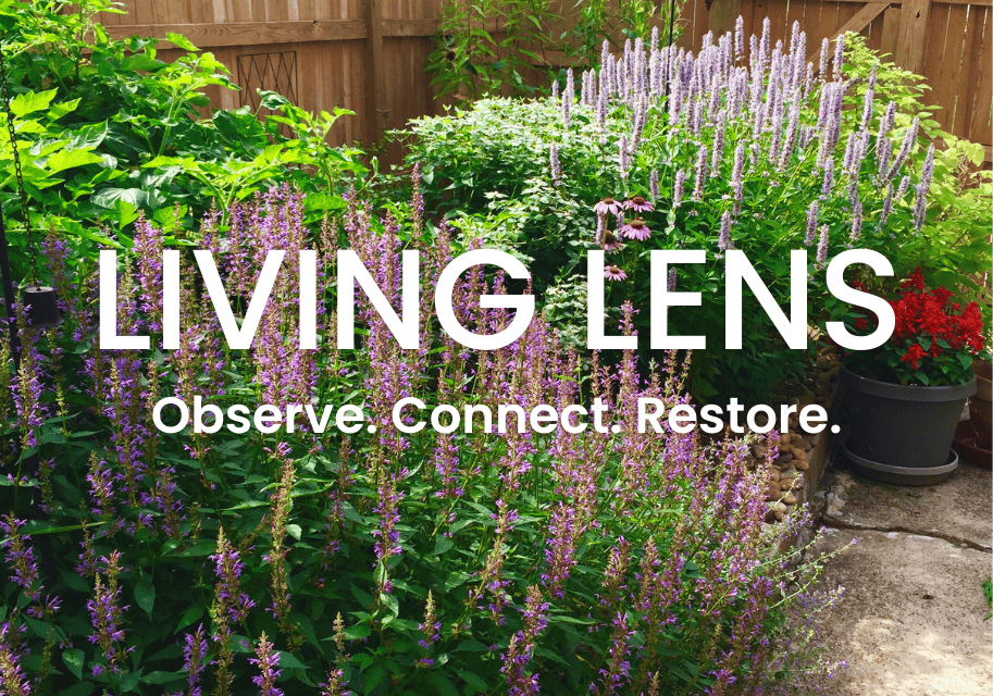 Homepage Feature Image (5)