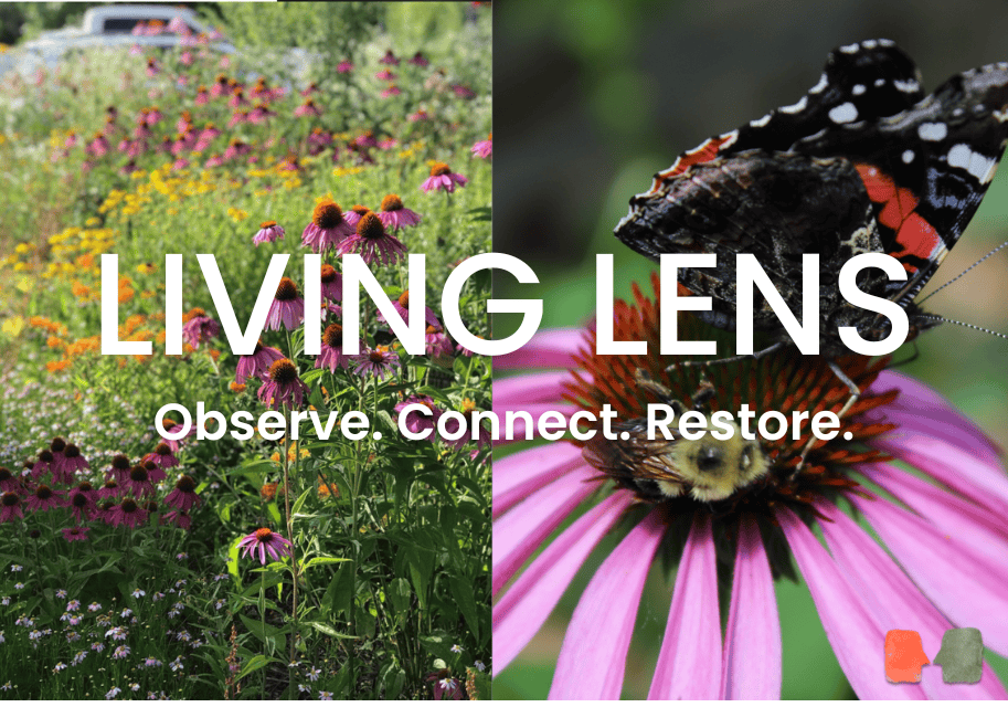 Homepage Feature Image (6)