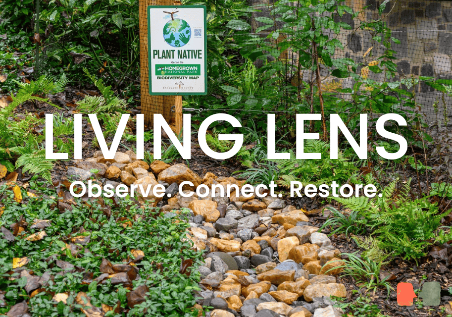 Homepage Feature Image (7)