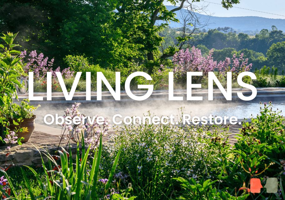 Homepage Feature Image (8)