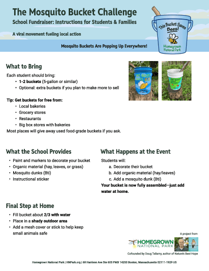 Mosquito Bucket Challenge School Fundraiser Thumb