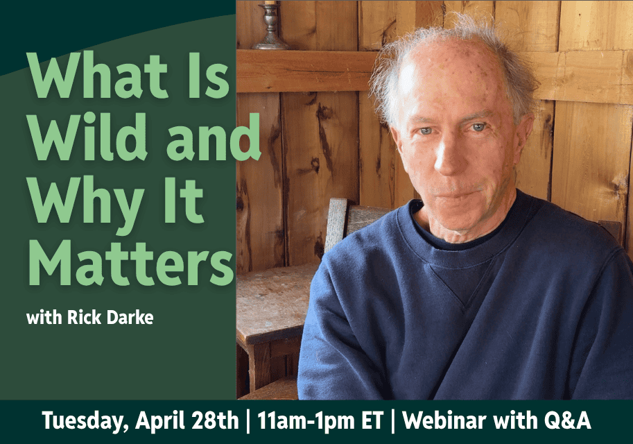 What Is Wild Homepage