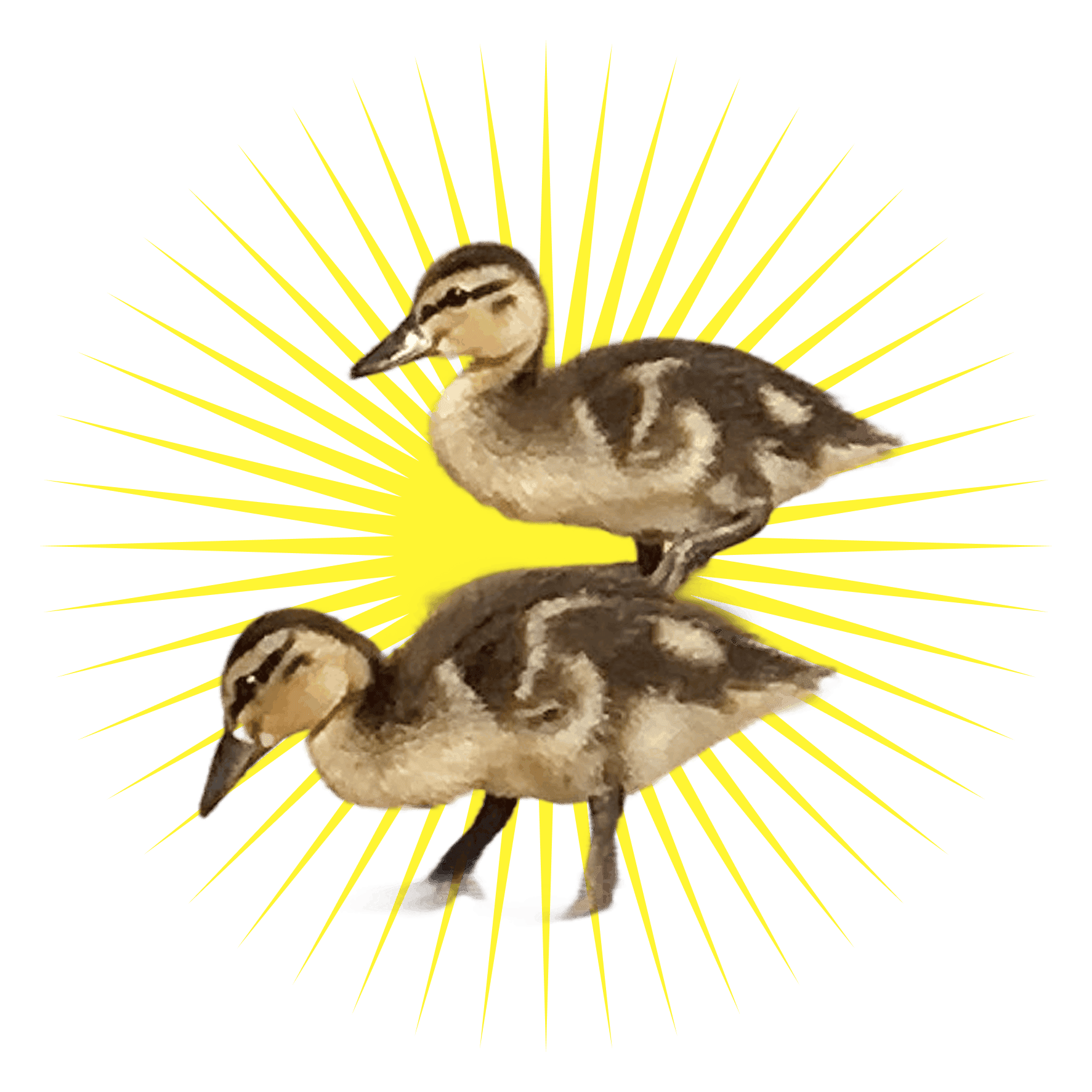 f632a872681c86869b26fdaae6b0d96c525f861c