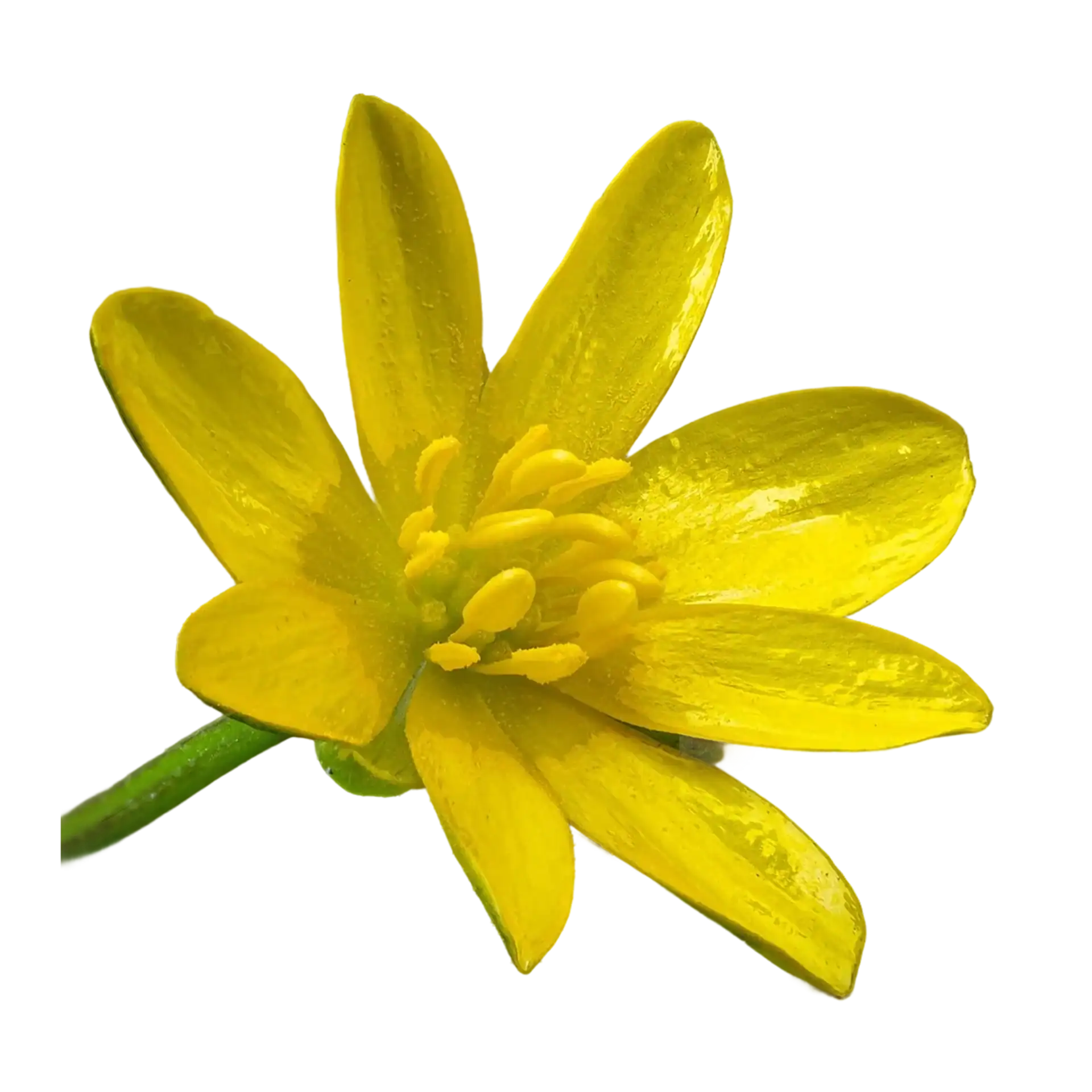 5c70591e9d405753400f3c4d297e1f06da568e32