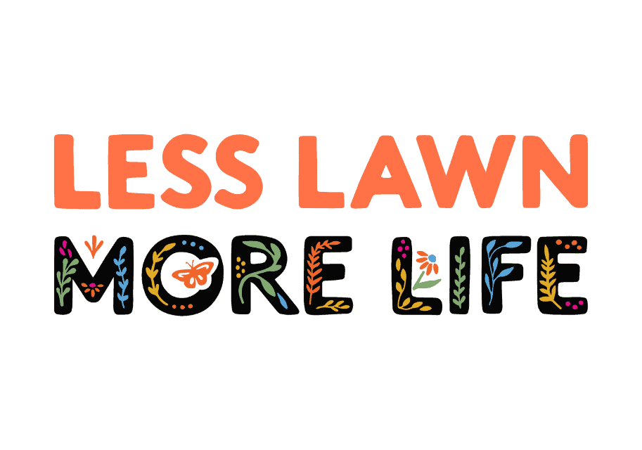 Homepage Feature Image LLML