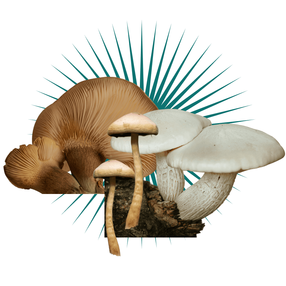 c2c30048cc5cf7156675d3341b4e0782ead788cc