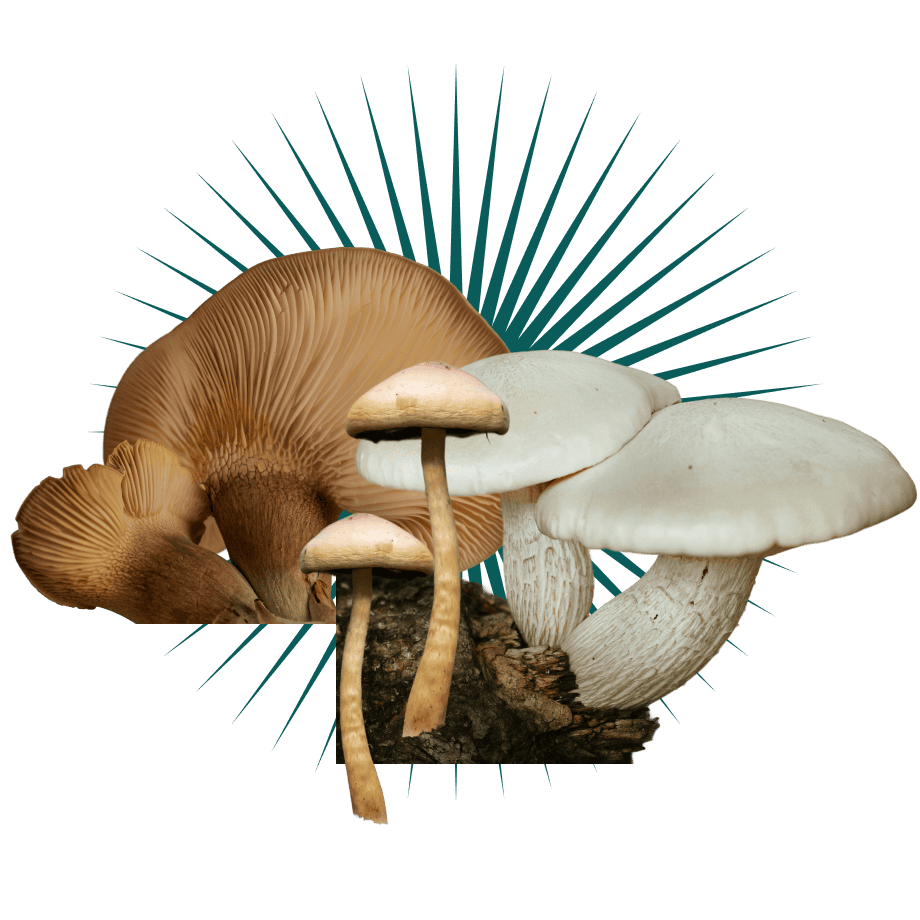 c5f7cfccde2f74db98c54998ac581c3f443107ec