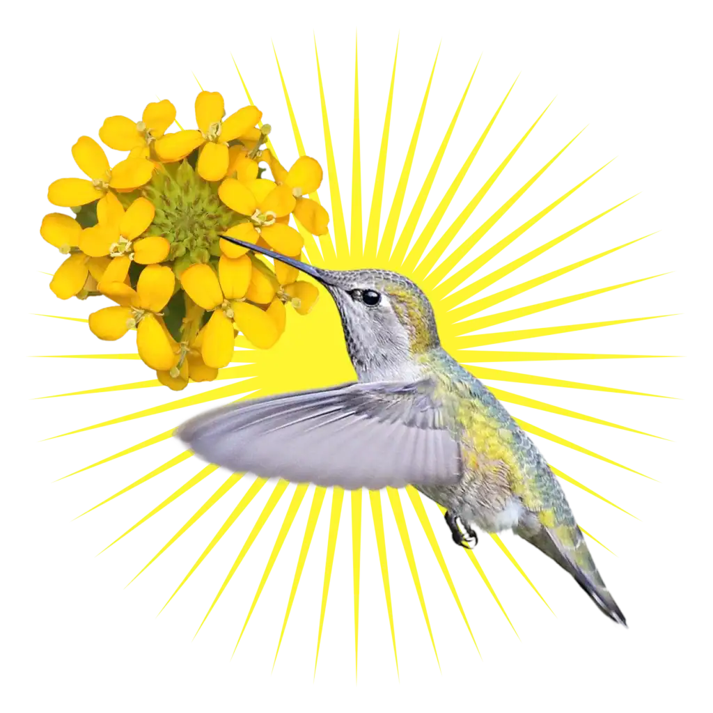 e16ccd0ef1c1ca0807669bb638f8f9de1534372d