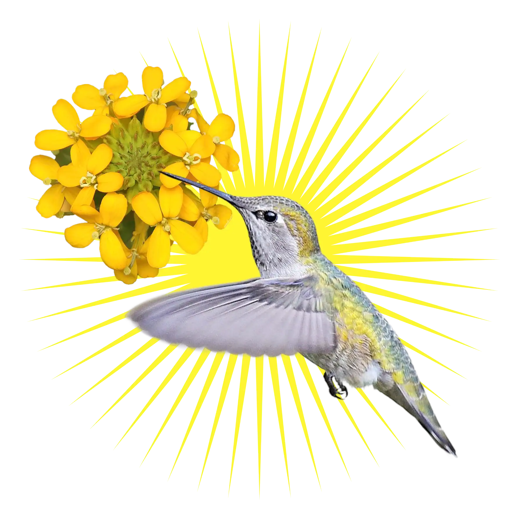 e16ccd0ef1c1ca0807669bb638f8f9de1534372d