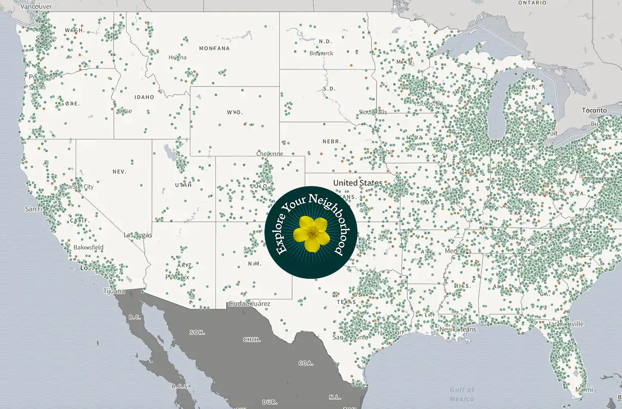 map-img (1)