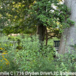 Emilie C. in Baltimore, Maryland
