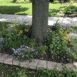 Pam K. in Chicago, Illinois