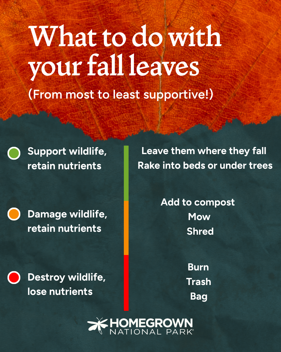 2026 Leave the Leaves IG