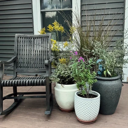 Fall Container Garden Grant Jensen Afton Minnesota