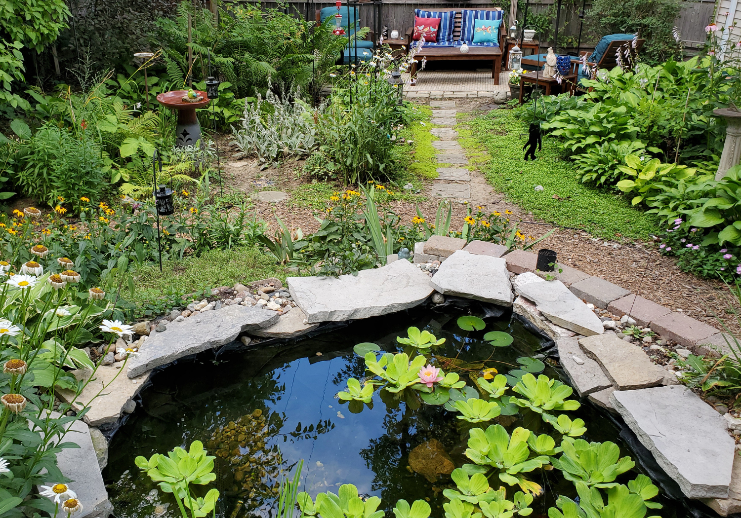 One of two wildlife ponds that Kate installed to provide respite for frogs, toads, and other wildlife.