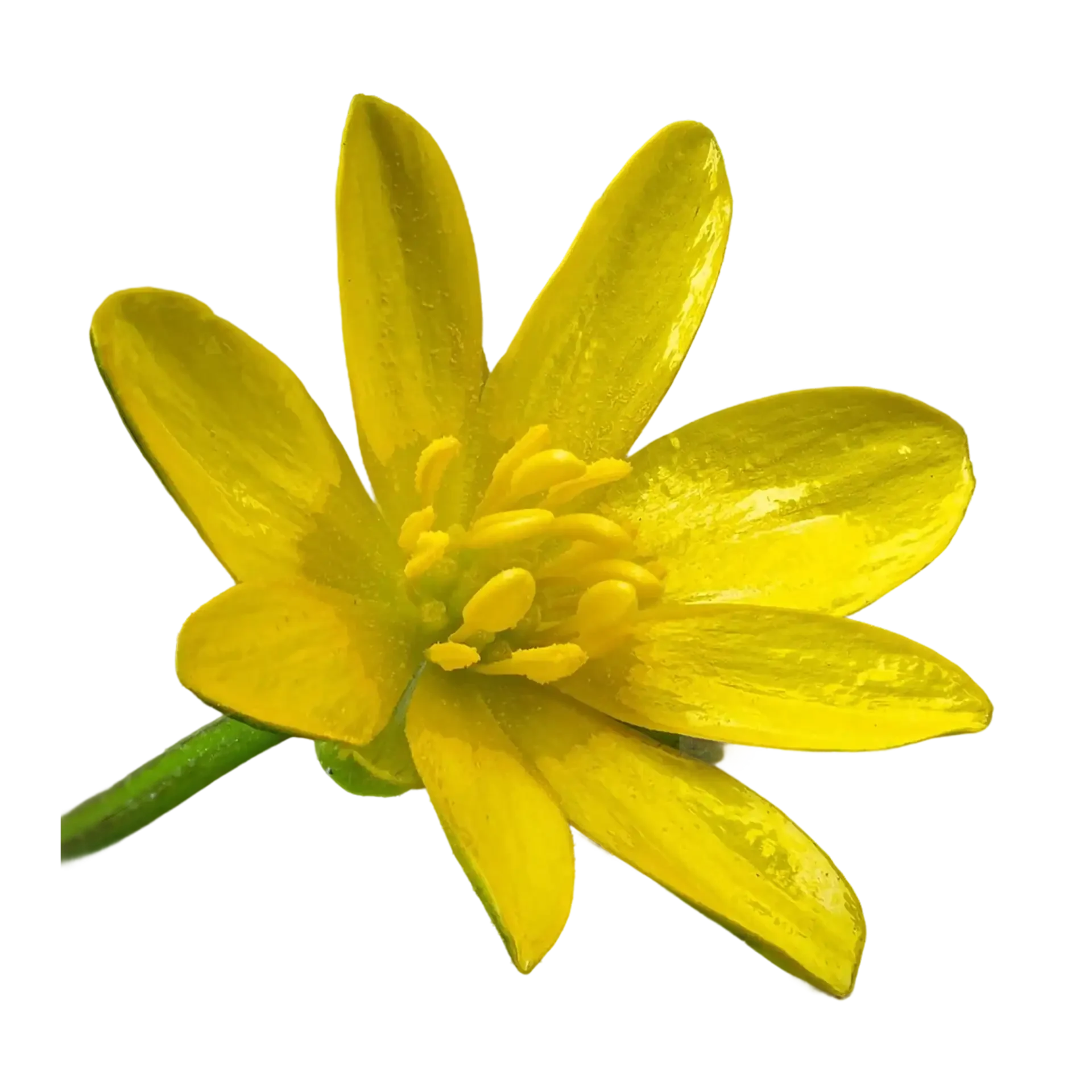 5c70591e9d405753400f3c4d297e1f06da568e32