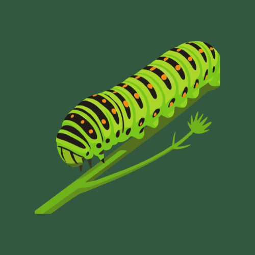 Untitled design (20)